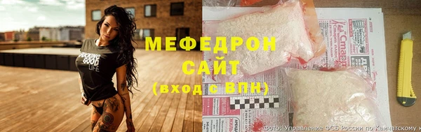 гашик Тайга