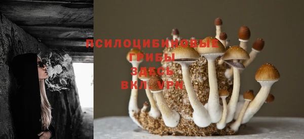метадон Балабаново